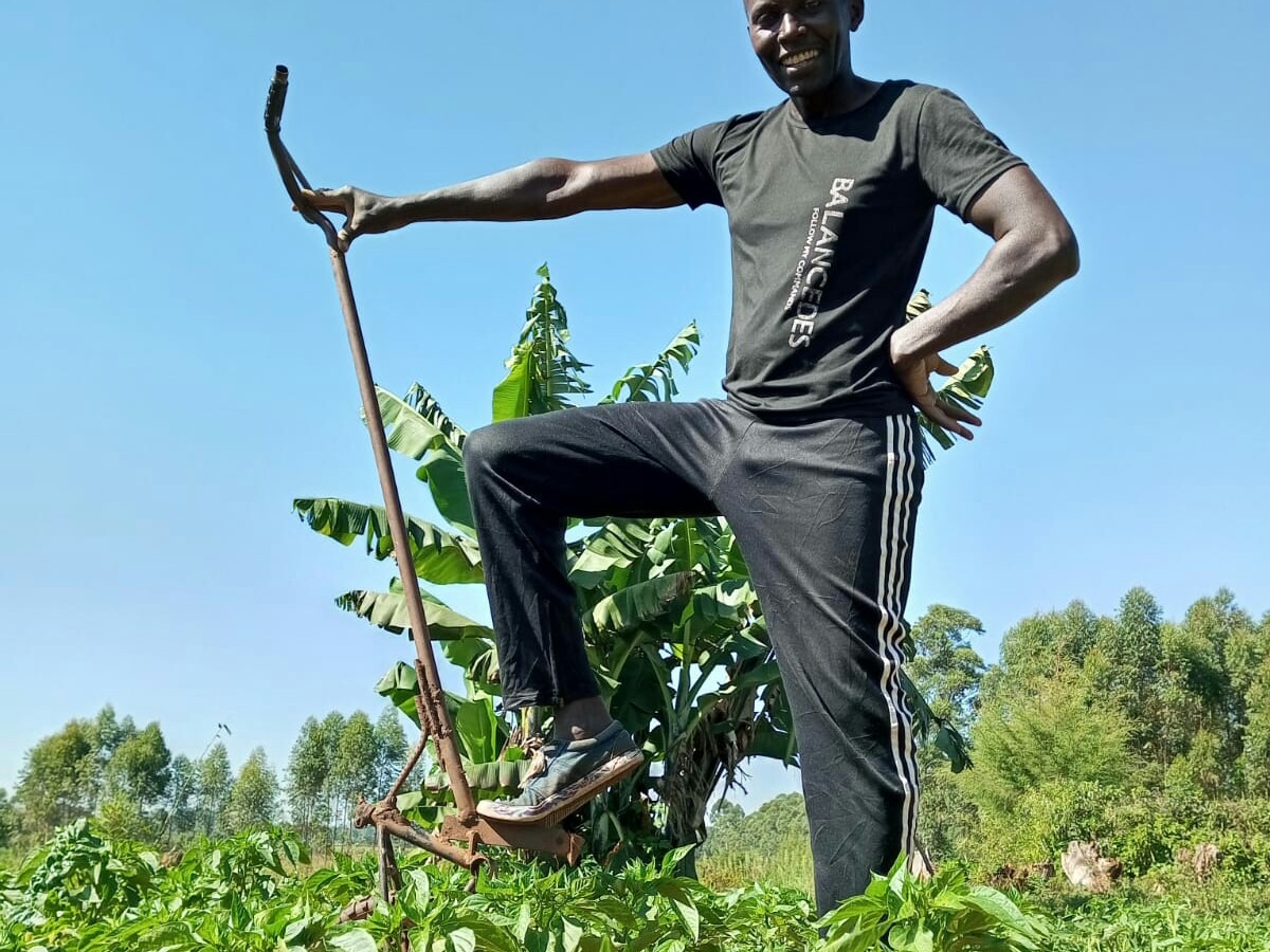 Zidisha | Diversify my horticulture production