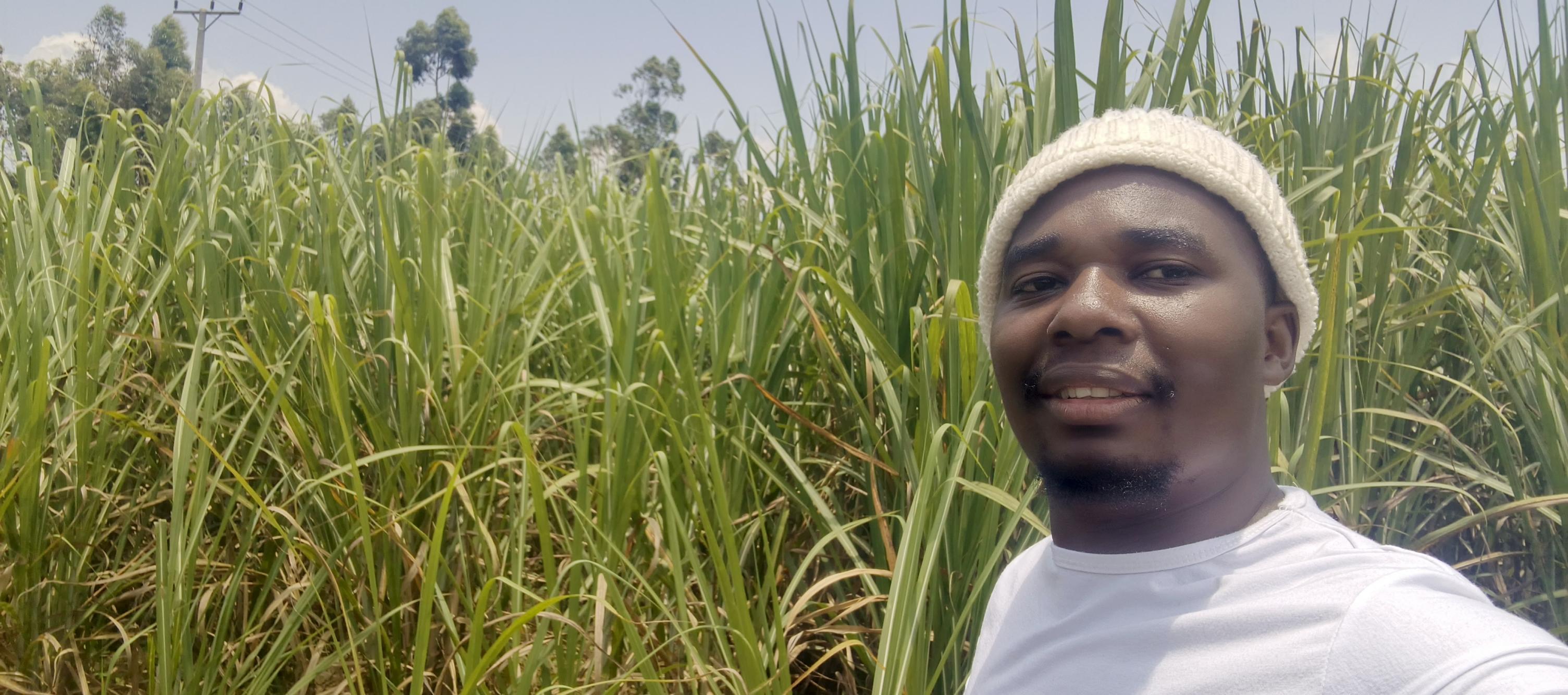 Zidisha | Sugarcane farming